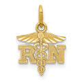 14k Diamond-cut Polished RN Nurse Pendant