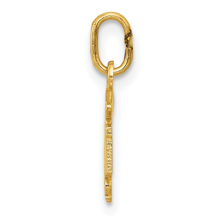 14k Diamond-cut Polished RN Nurse Pendant