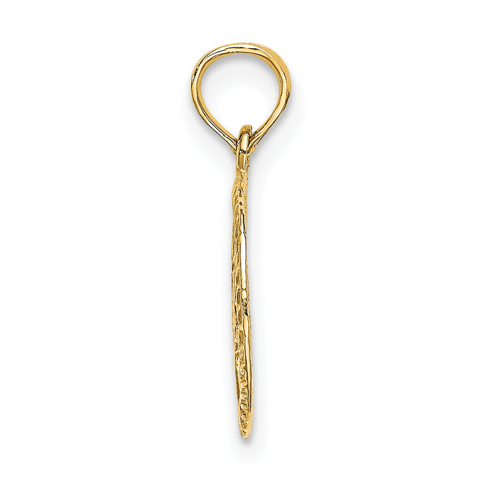 14K Engraved Star Of David In Circle Charm