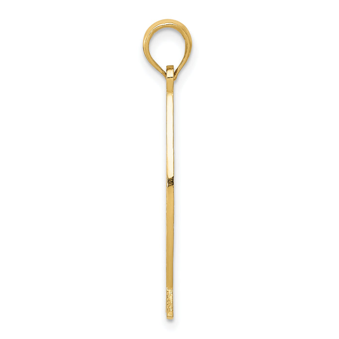 14K Ichthus Fish W/ JESUS Pendant