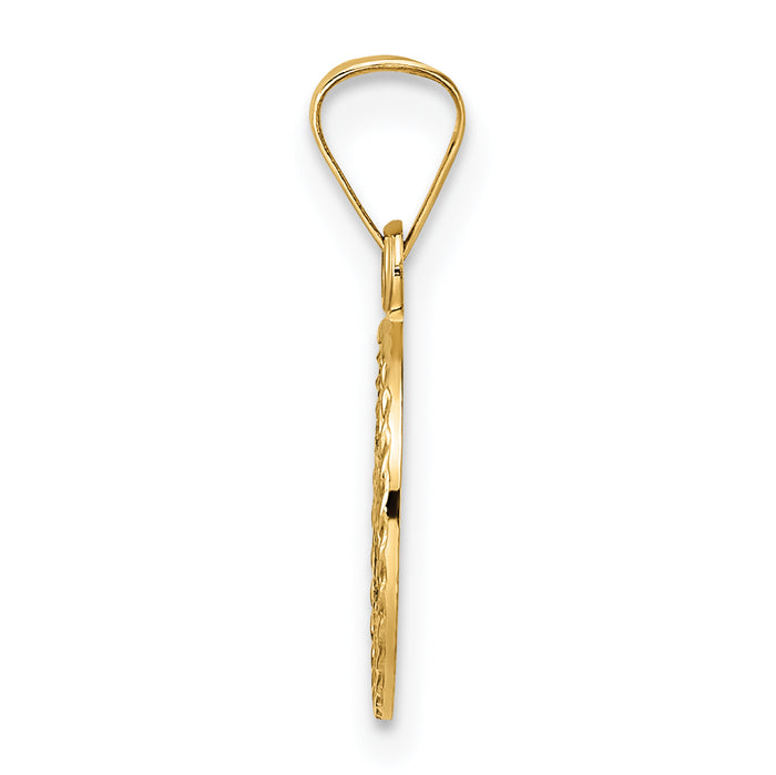 14k Polished Solid Enameled Star of David in Frame Pendant