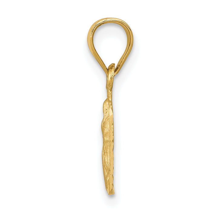 14k Satin & D/C Our Lady of Guadalupe Pendant
