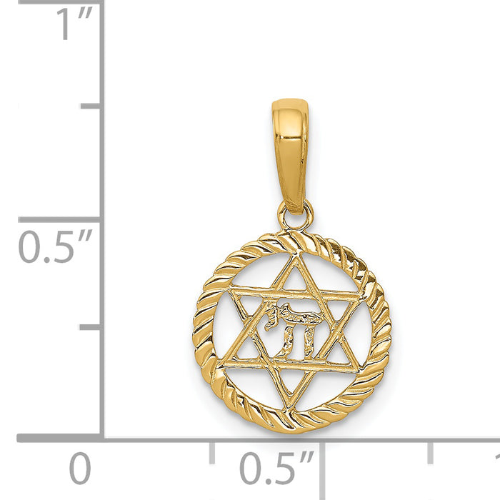 14K Star of David and Chai in Circle Pendant