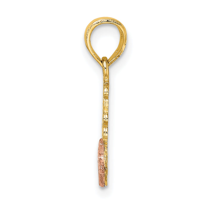 14K Two-Tone JESUS LOVES ME Charm