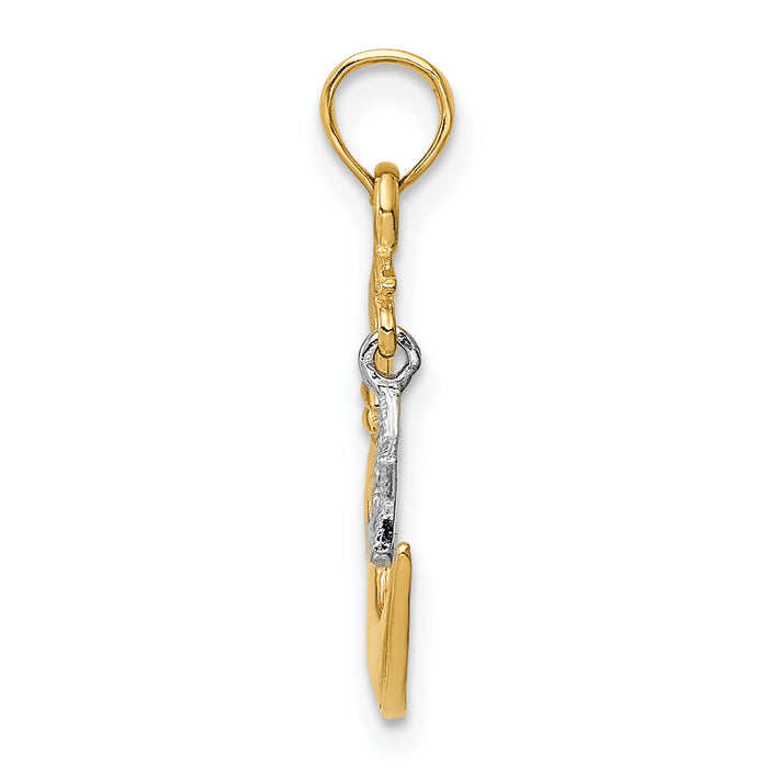14k Two-Tone Polished Half Moon and Star Pendant