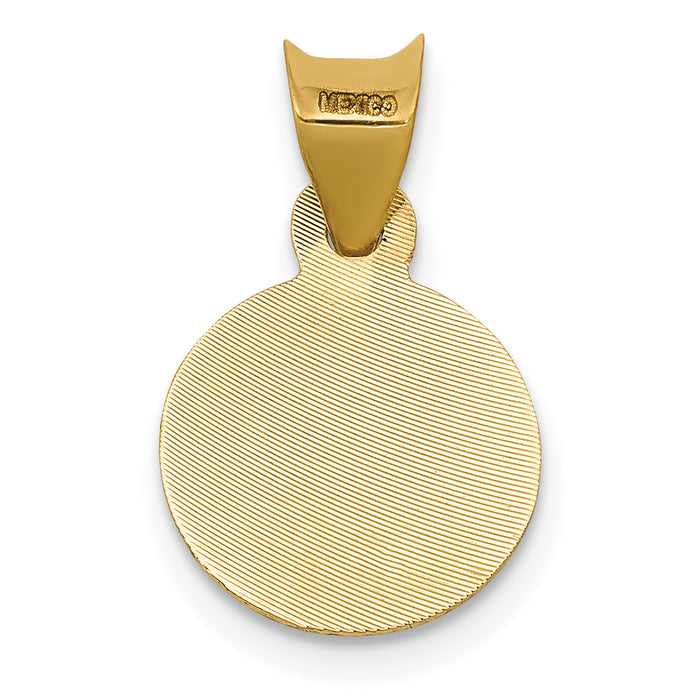 14K w/Rhodium Polished D/C Lady Of Guadalupe Circle Pendant