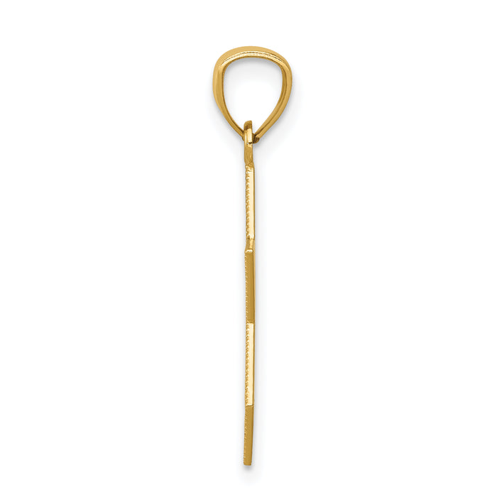14k w/Rhodium Star of David w/Chai Pendant