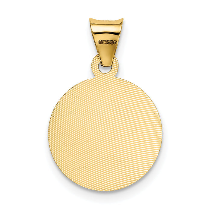 14K w/Rose and White Rhodium D/C Sagrado Corazon Pendant