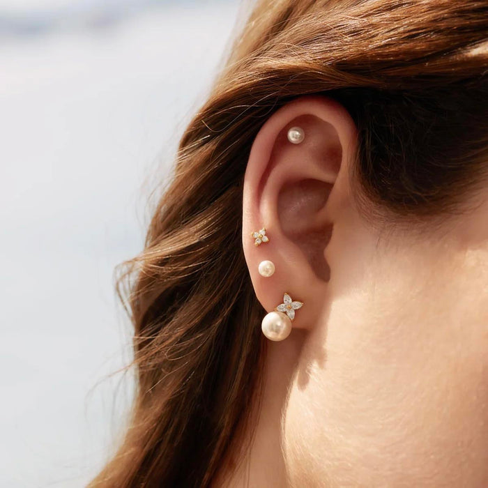 Ania Haie Shell Pearl and Cubic Zirconia Stud Earrings in Sterling Silver with 14kt Yellow Gold Plate