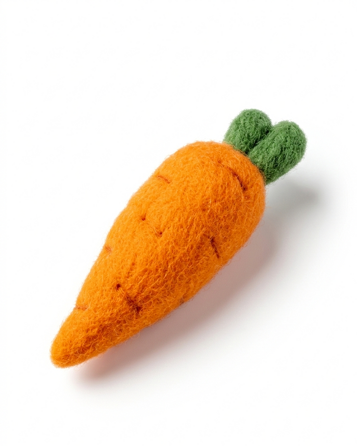 Carrot Wool Felt Fridge Magnet - Woobbi