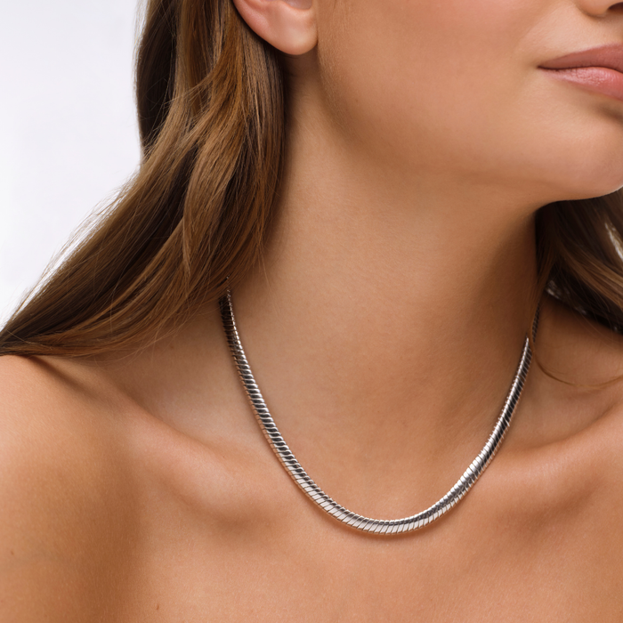 Dahna Herringbone Necklace - Silver