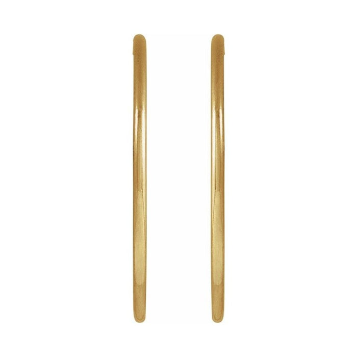 Hoop Earrings