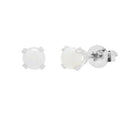 Opal Stud Earrings in 14kt White Gold (3mm)