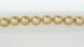 Pearl Bracelet