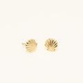 Sea Shell Stud Earrings in 14kt Yellow Gold