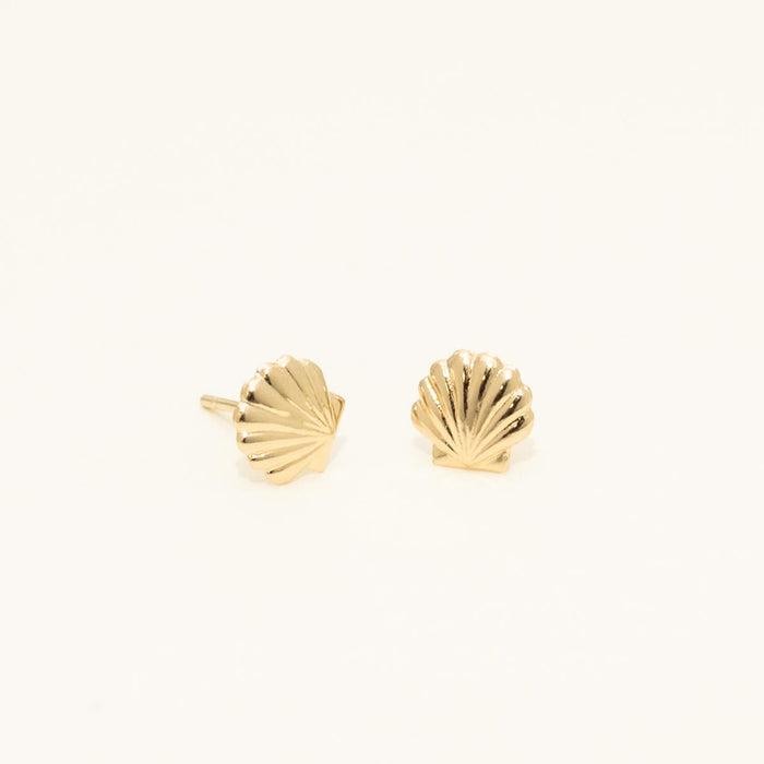 Sea Shell Stud Earrings in 14kt Yellow Gold