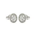 Silver 925 Rhodium Plated Open Circle Clover CZ Stud Earrings - BGE00252 | Silver Palace Inc.