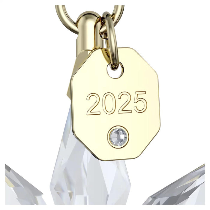 Swarovski Crystal Annual Edition 2025 3D Star Ornament