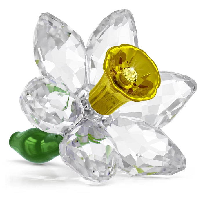 Swarovski Crystal Florere Daffodil Figurine