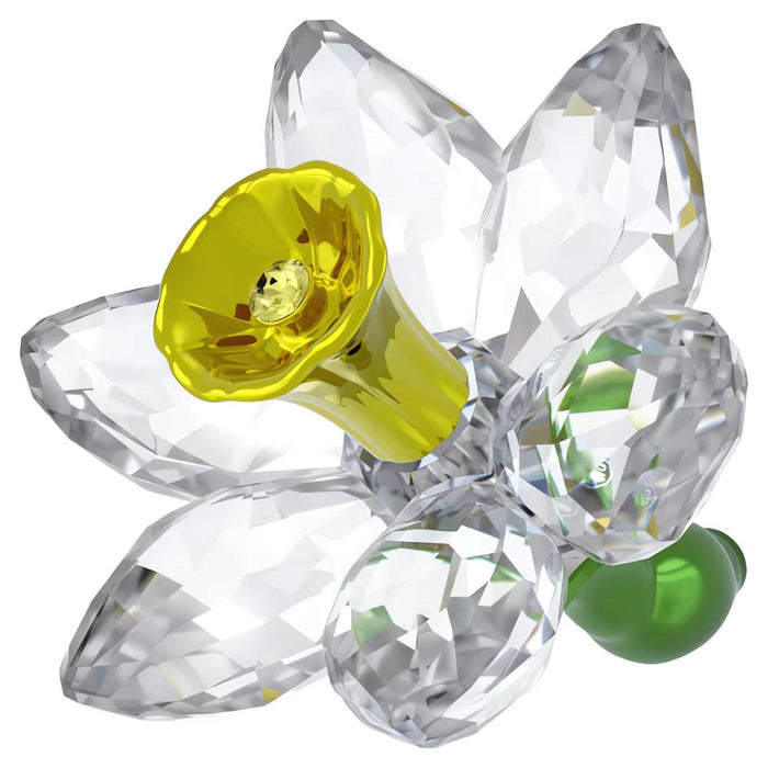 Swarovski Crystal Florere Daffodil Figurine