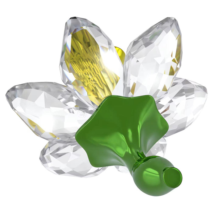 Swarovski Crystal Florere Daffodil Figurine