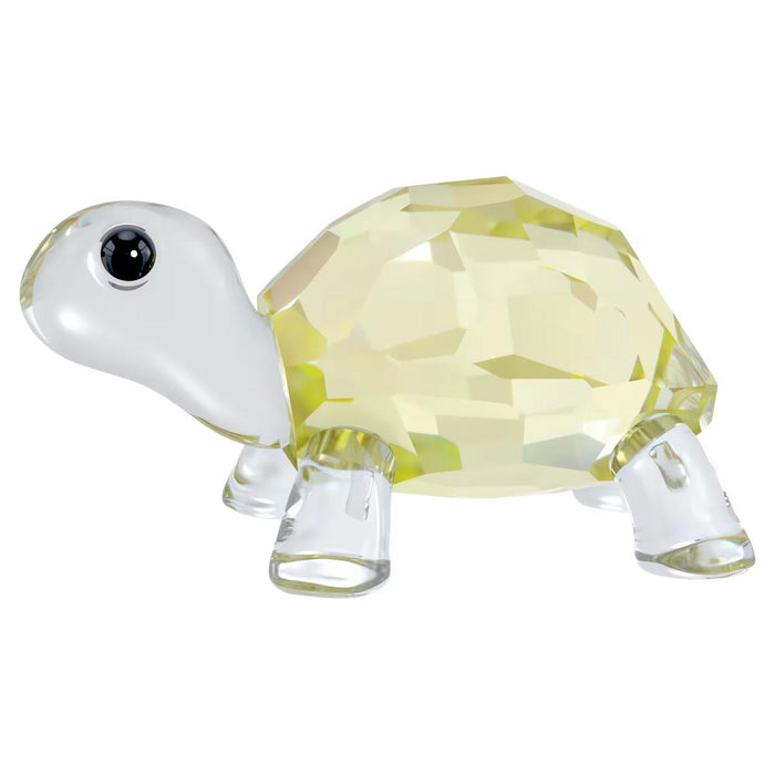 Swarovski Crystal Idyllia Baby Tortoise Figurine