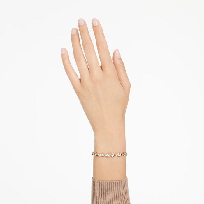 Swarovski Dextera Link Bracelet in Yellow Tone Plate