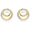 Swarovski Hyperbola Stud Earrings in Yellow Tone Plate